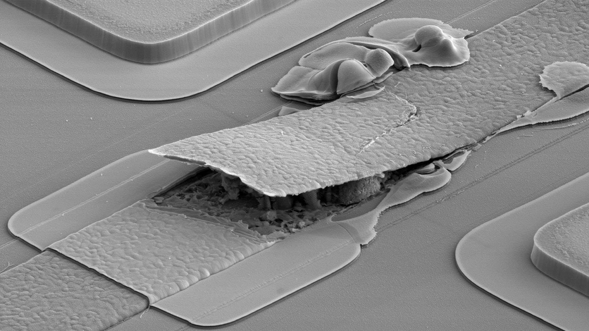 Brno představilo nové směry mikroskopie v průmyslu i medicíně