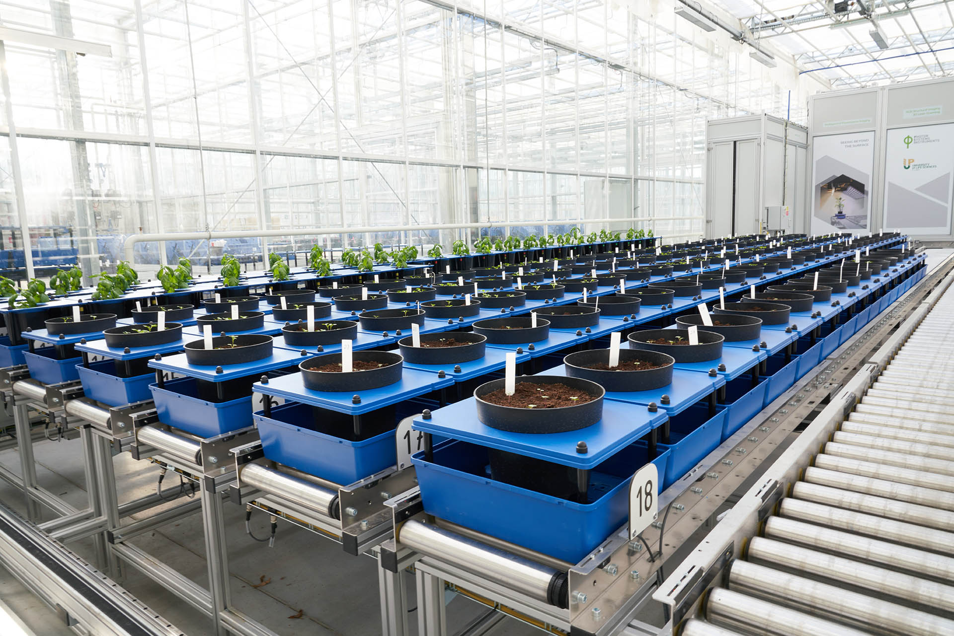 Automatizovaná fenotypizační linka budoucnosti: Jak komponenty Murrelektronik mění výzkum rostlin